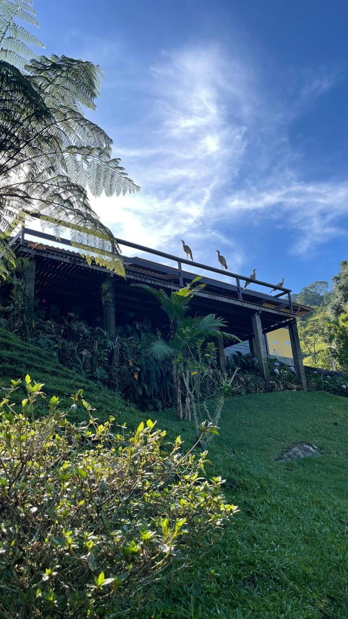 Sitio Com Piscina Natural E Cascata, Com Linda Vista Em Lumiar. Esterno foto