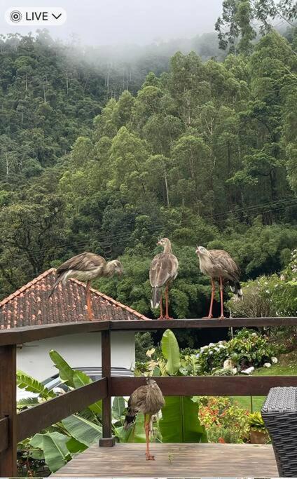 Sitio Com Piscina Natural E Cascata, Com Linda Vista Em Lumiar. Esterno foto