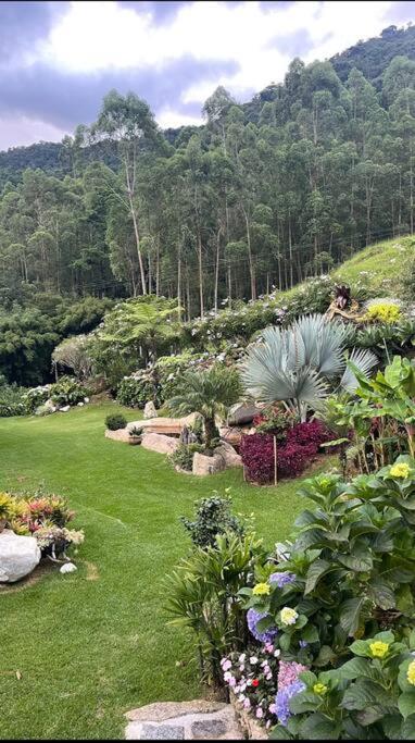 Sitio Com Piscina Natural E Cascata, Com Linda Vista Em Lumiar. Esterno foto